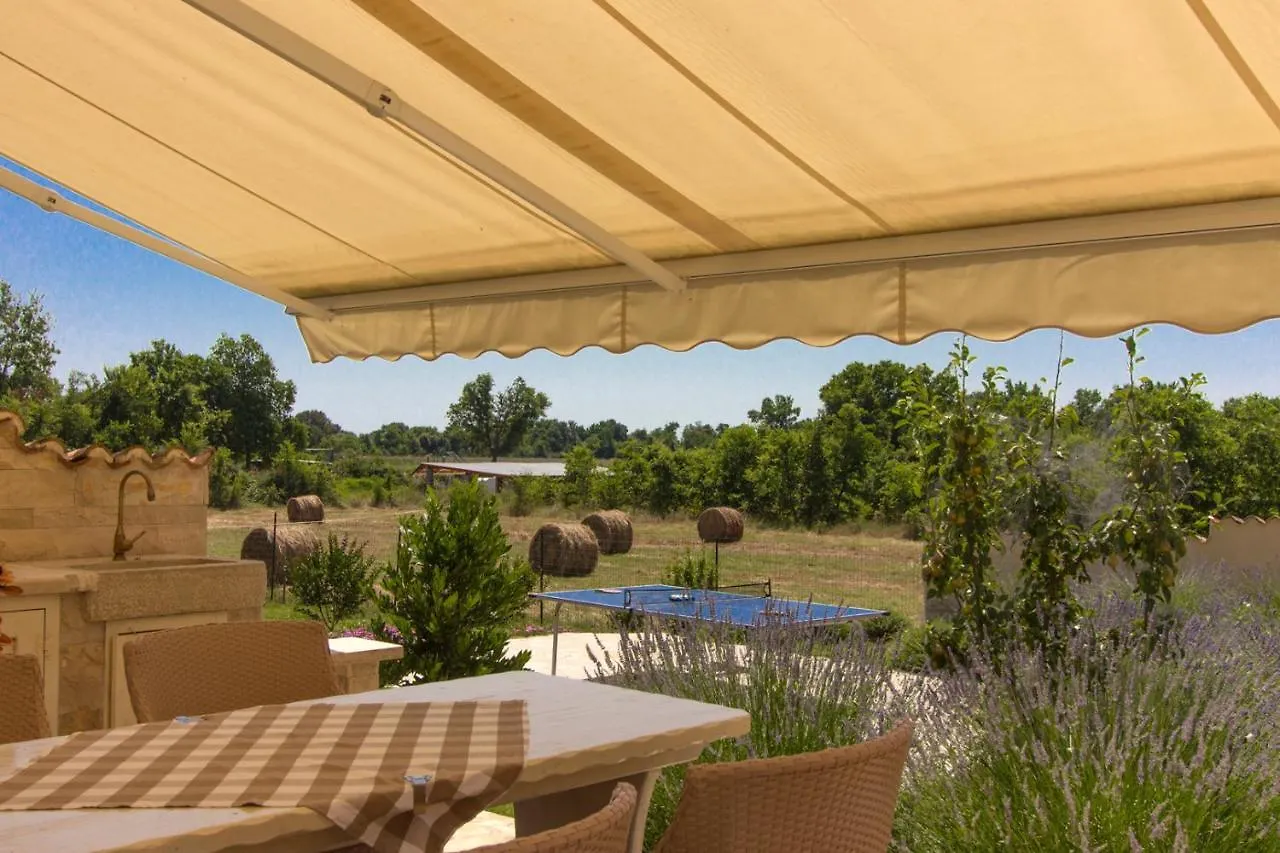 Beautiful Villa Divina With Large Pool, Sauna & Hydrommassage Near Pula, High Level Of Privacy Šišan